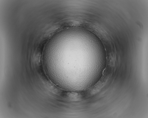 X0000111880230200907231542