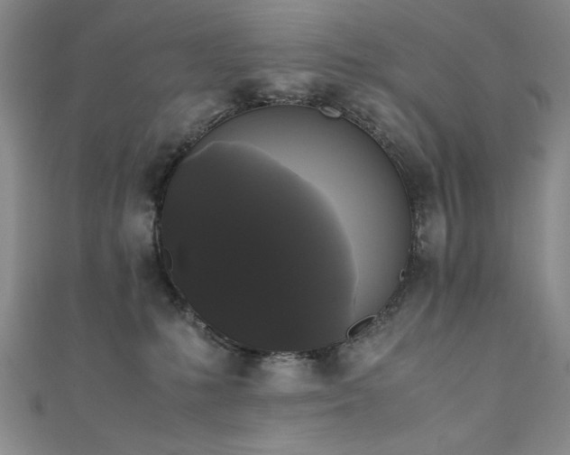 X0000111880231200907231542