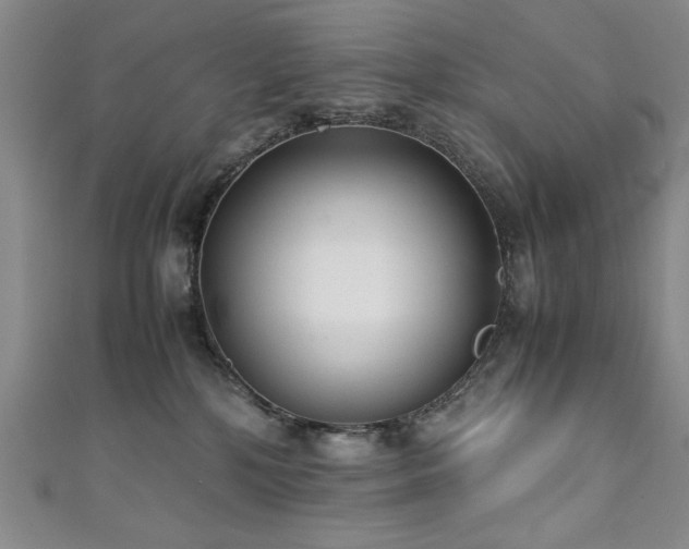 X0000111880232200907231542