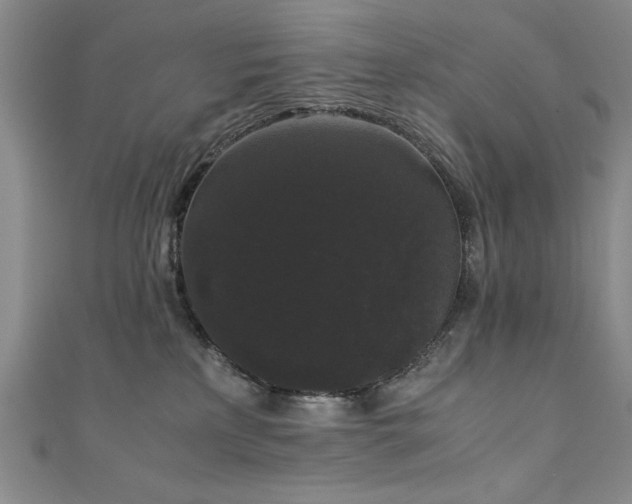 X0000111880233200907231542