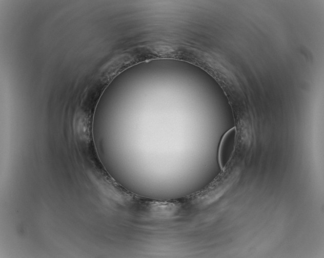 X0000111880234200907231542