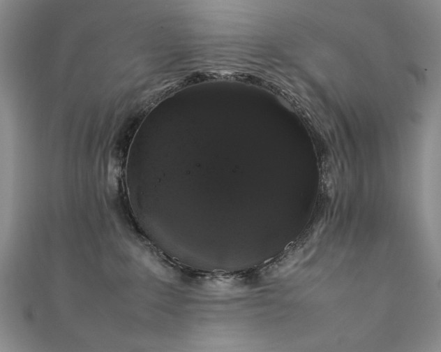 X0000111880235200907231542