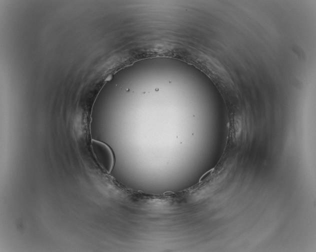 X0000111880236200907231542