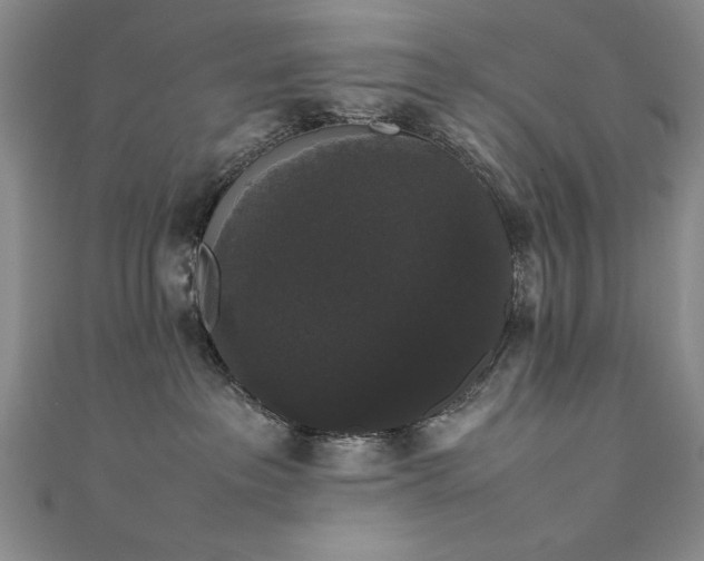X0000111880237200907231541