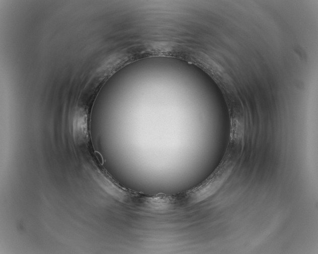 X0000111880238200907231541