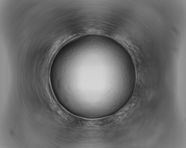 X0000111880241200907231541