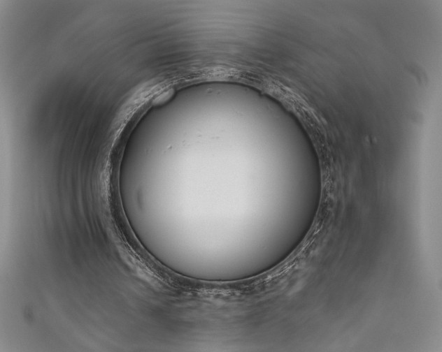 X0000111880242200907231541