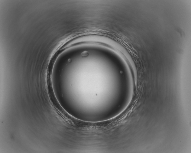 X0000111880244200907231541