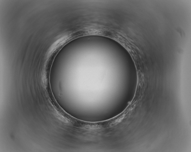 X0000111880245200907231541