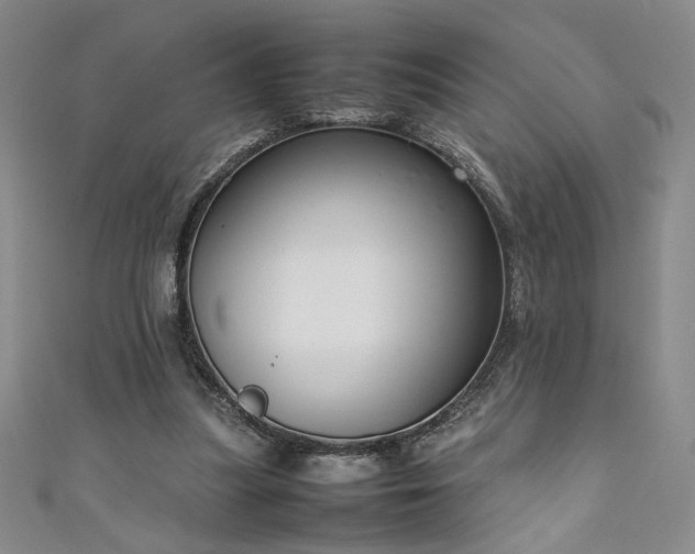 X0000111880251200907231541