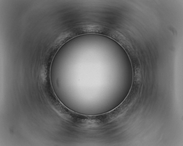 X0000111880255200907231541