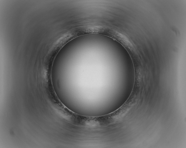 X0000111880258200907231541