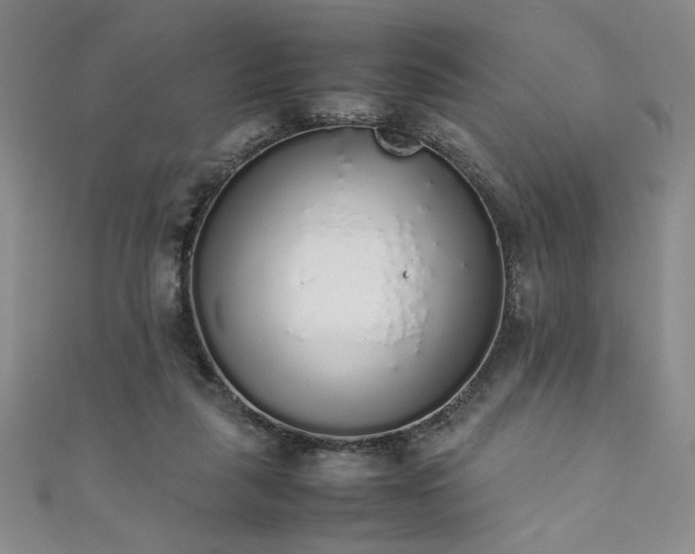 X0000111880259200907231541