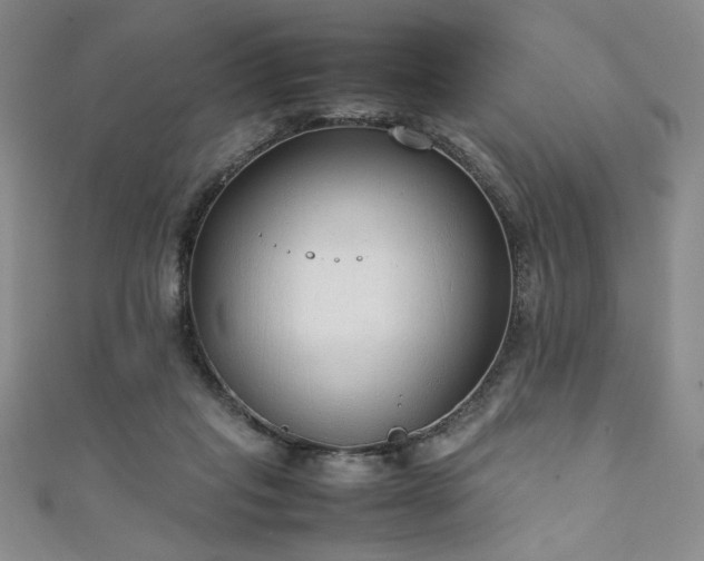 X0000111880261200907231541