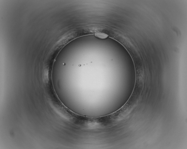 X0000111880262200907231541