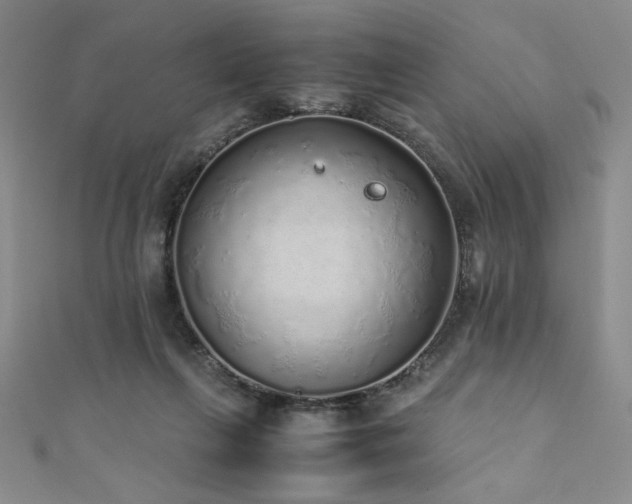 X0000111880263200907231541