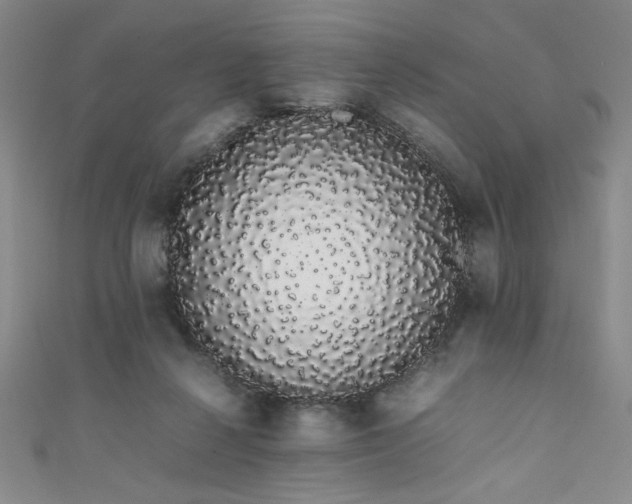 X0000111880264200907231541
