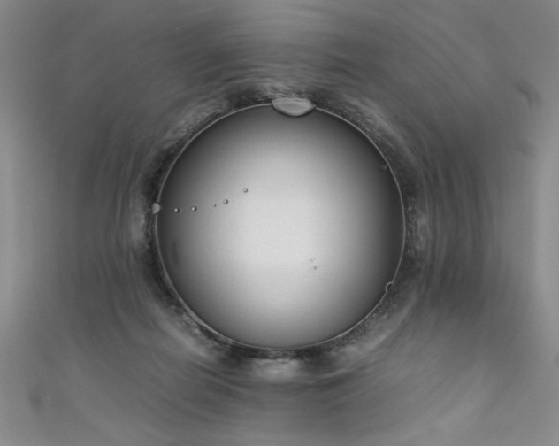 X0000111880266200907231541