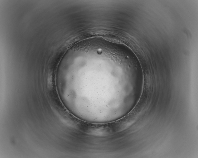 X0000111880267200907231541