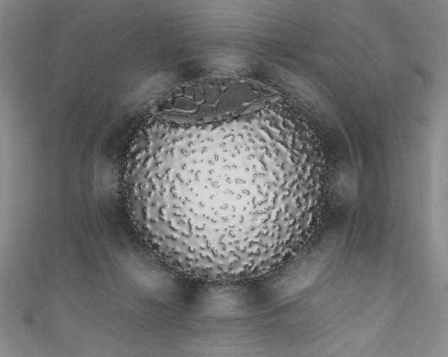 X0000111880268200907231541
