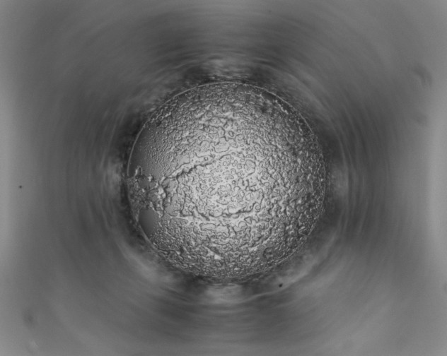X0000111880271200907231541