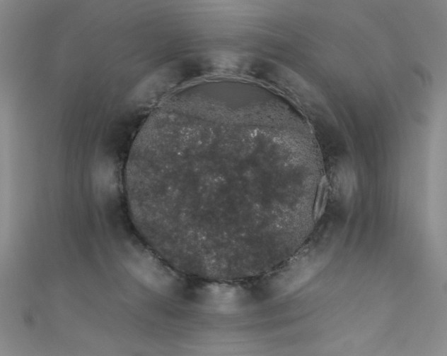 X0000111880272200907231541