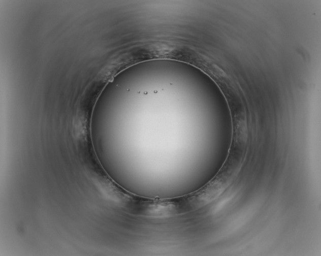 X0000111880274200907231541