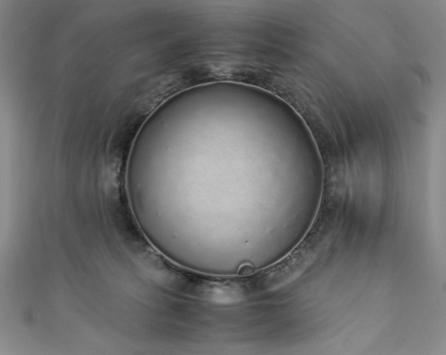 X0000111880275200907231541