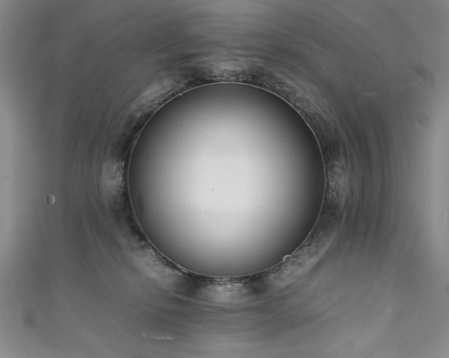 X0000111880278200907231541