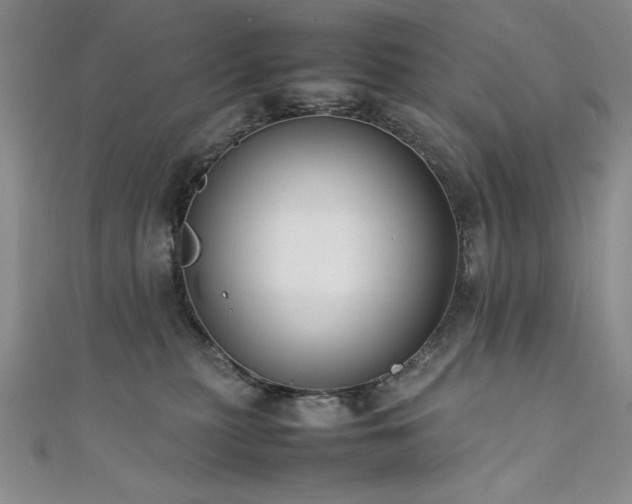 X0000111880279200907231541