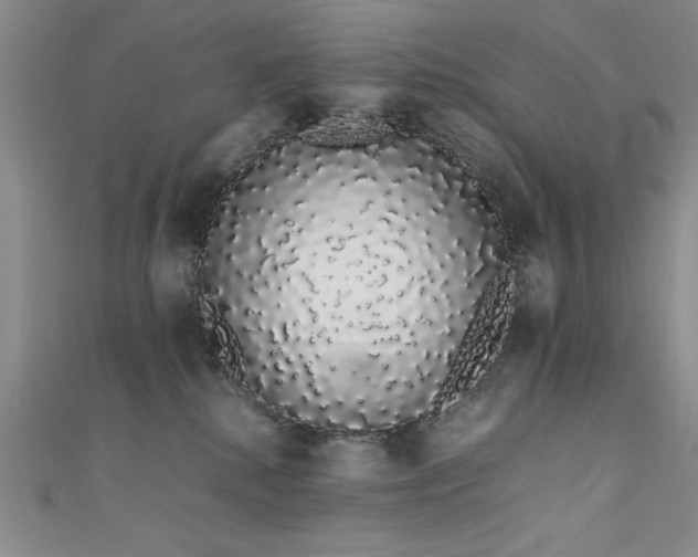 X0000111880280200907231541