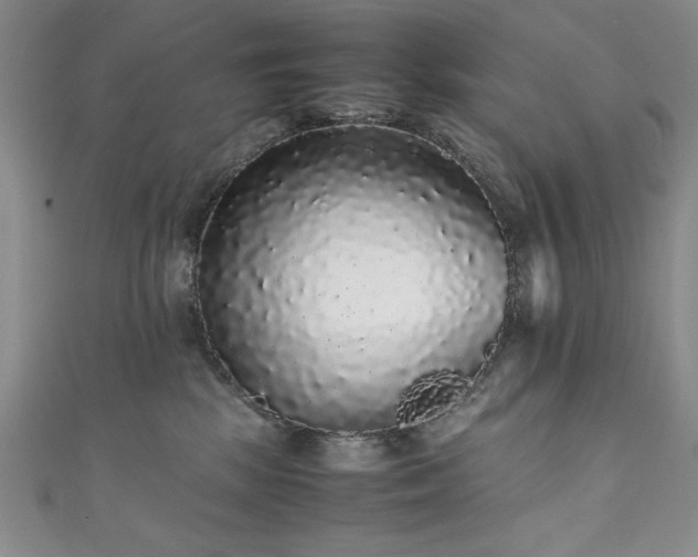 X0000111880281200907231541