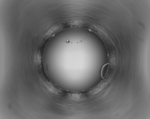 X0000111880282200907231541