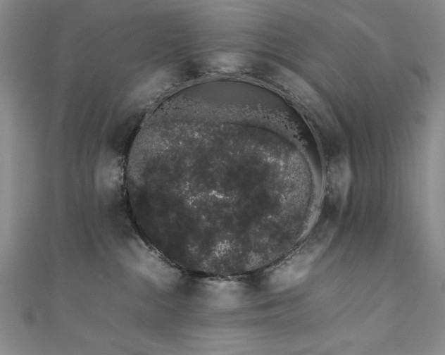 X0000111880284200907231541