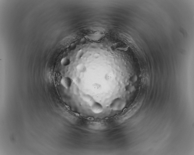 X0000111880285200907231541