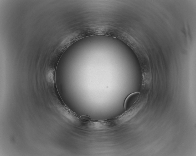 X0000111880286200907231541