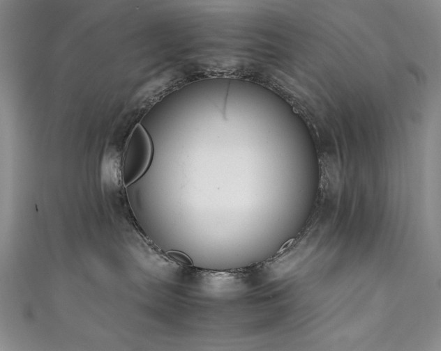 X0000111880287200907231541