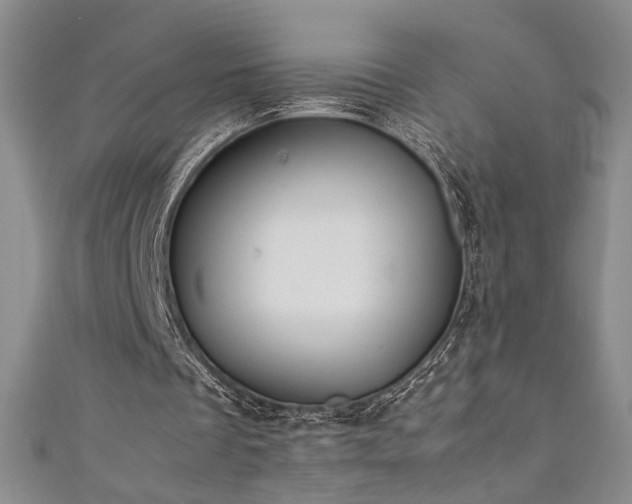 X0000111880289200907231541
