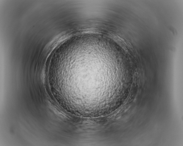 X0000111880290200907231541