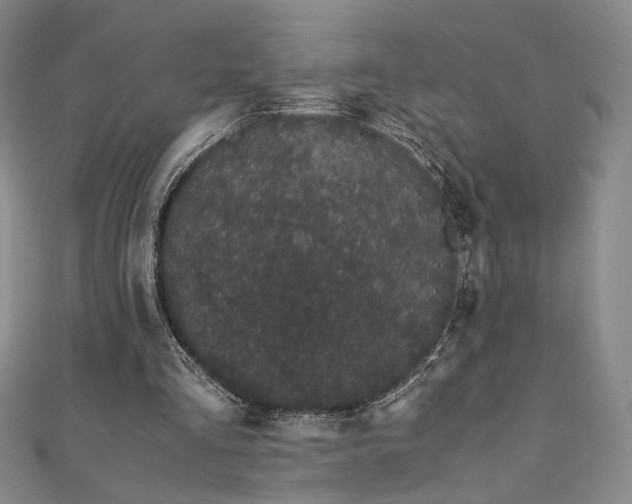 X0000111880293200907231541