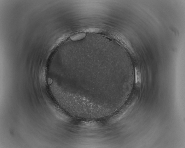 X0000111880300200907231541