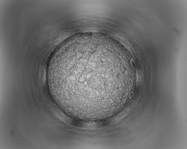 X0000111880301200907231540