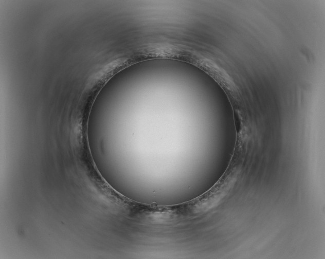 X0000111880306200907231540