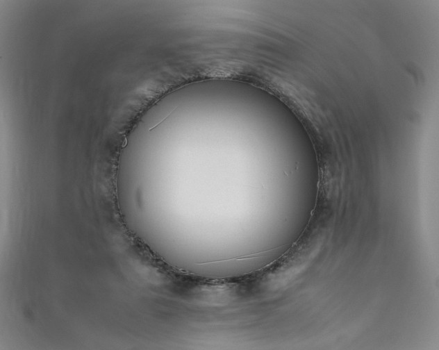 X0000111880307200907231540