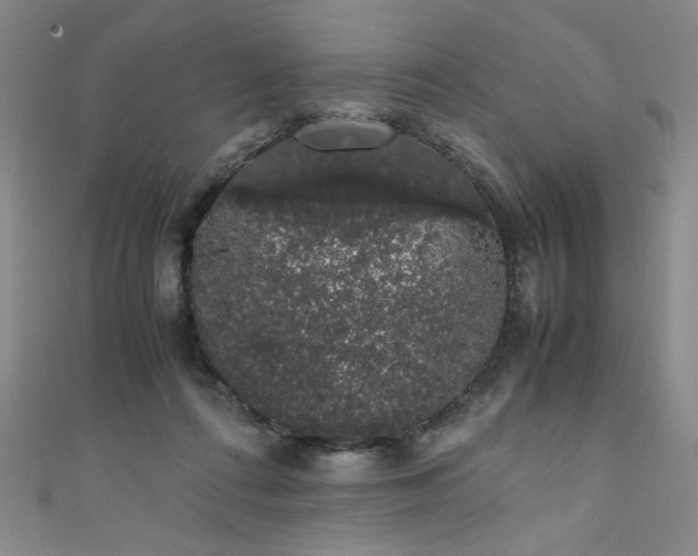 X0000111880312200907231540