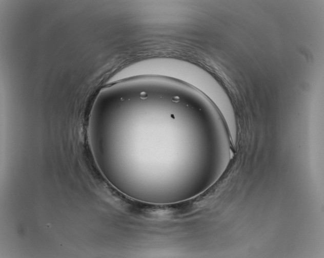 X0000111880313200907231540