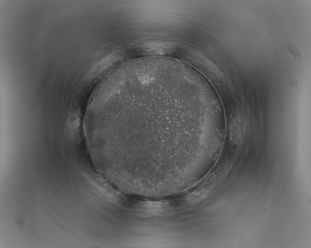X0000111880314200907231540