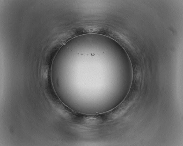 X0000111880315200907231540