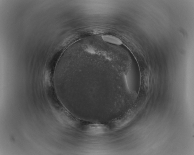 X0000111880316200907231540