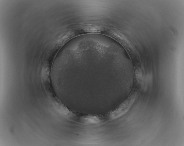 X0000111880322200907231540